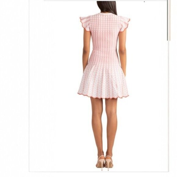 ANTHROPOLOGIE Shoshanna Callie Knit Flutter Sleeve Drop Waist Dress Size L - Picture 2 of 11